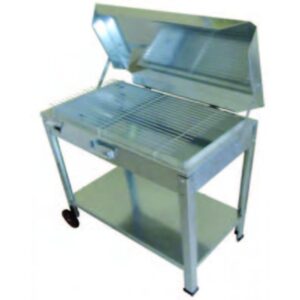 ΨΗΣΤΑΡΑΚΙ ΓΑΛΒΑΝΙΖΕ ΑΡΧΟΝΤΙΣΑ